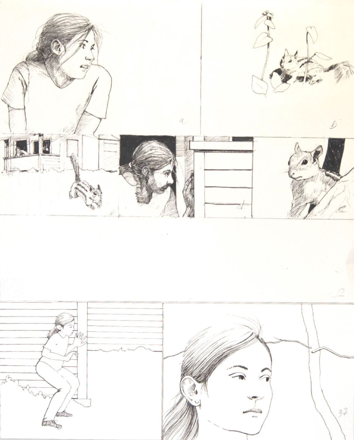 Charles Norris-Brown Thunder Basin, page 37 graphics