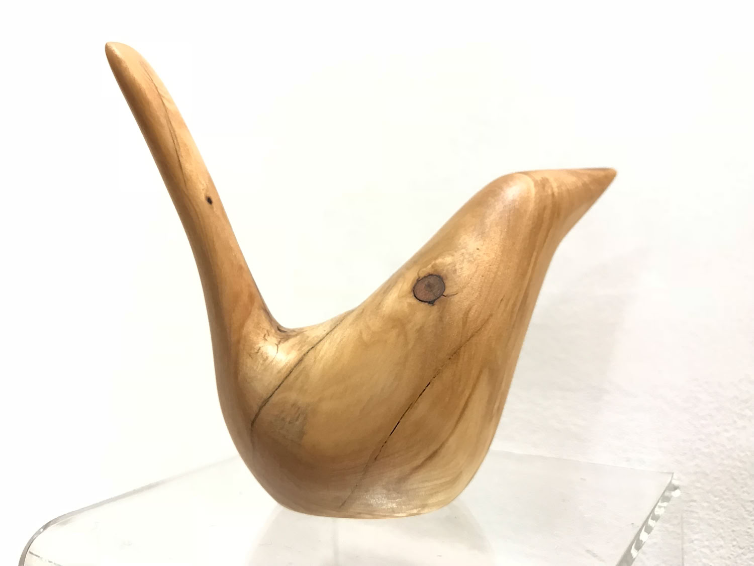 Deborah Bump New Mexico Juniper