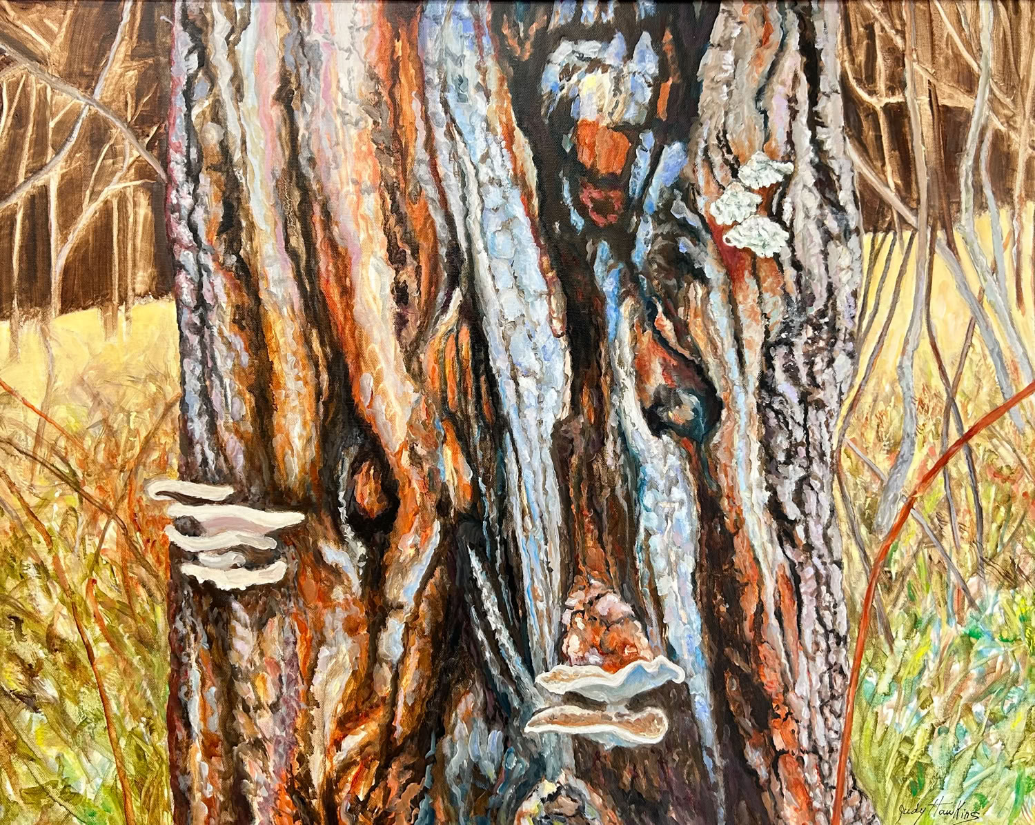 Judy Hawkins Old Soul