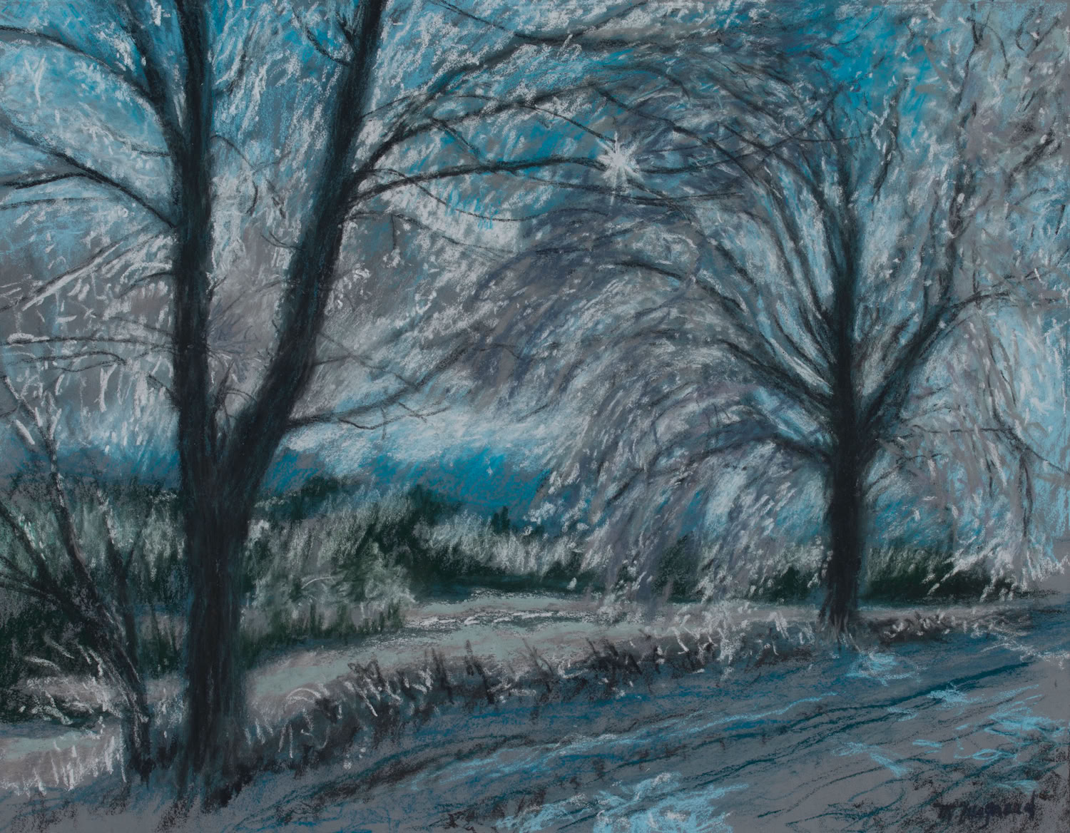 Marcie Maynard Ice Storm