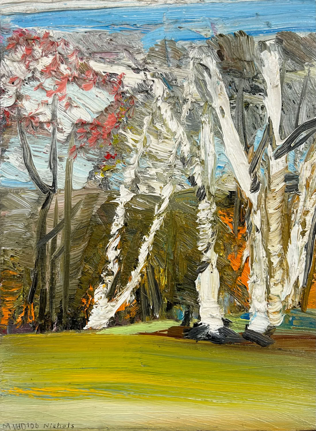 Martha Nichols Birches Andover, Vermont