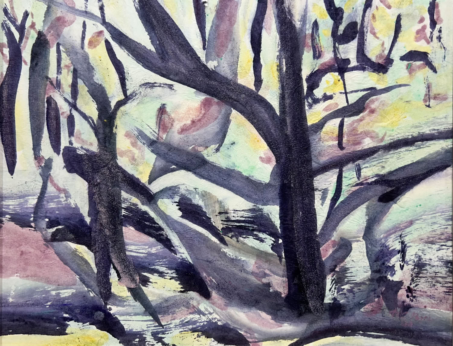 MC Noyes Vermont Trees 55