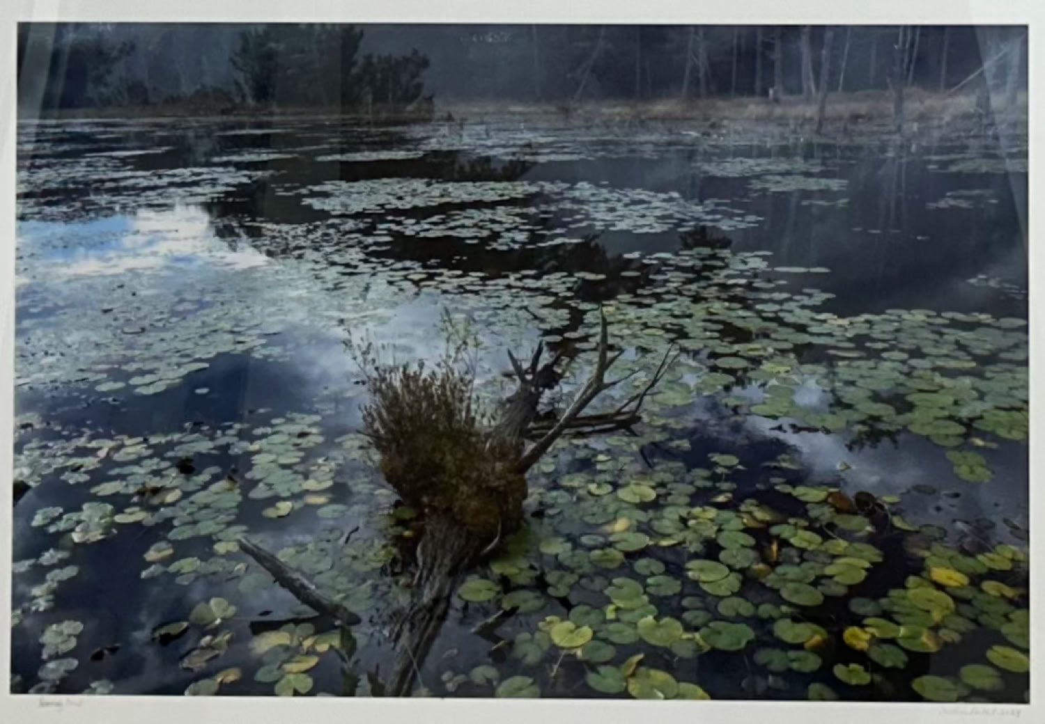 Medora Hebert Harvey Pond