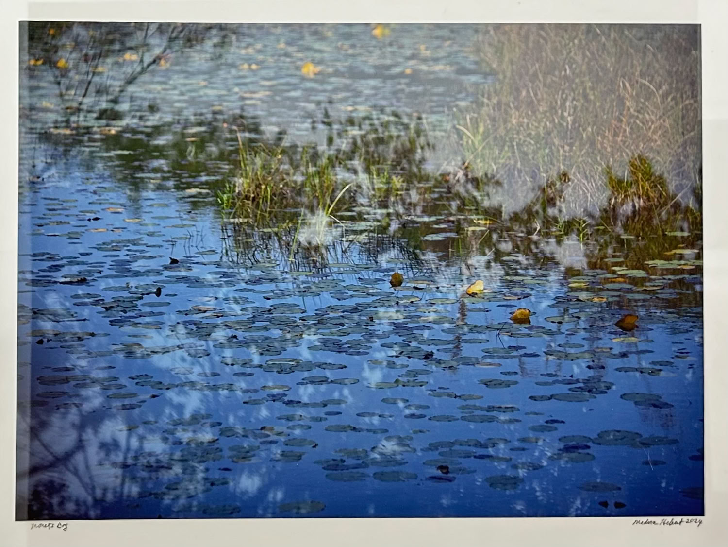 Medora Hebert Monet’s Bog 