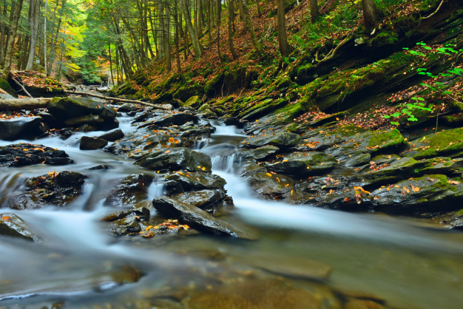 Amy Pandolfi Old City Falls I 