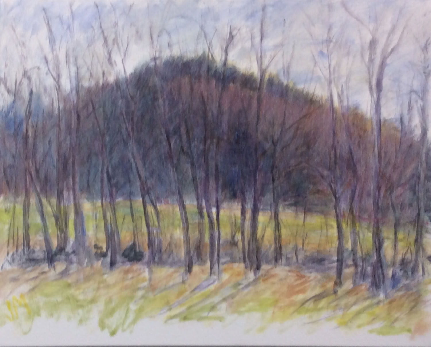 jeanne-mcmahan_up-across-to-the-mountain_2020