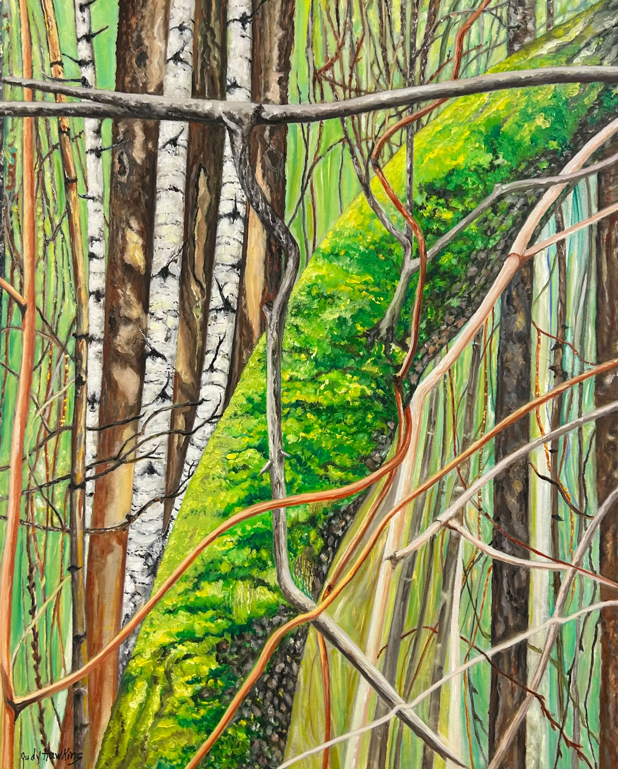 Judy Hawkins You Never Know What You’ll Find in the Woods