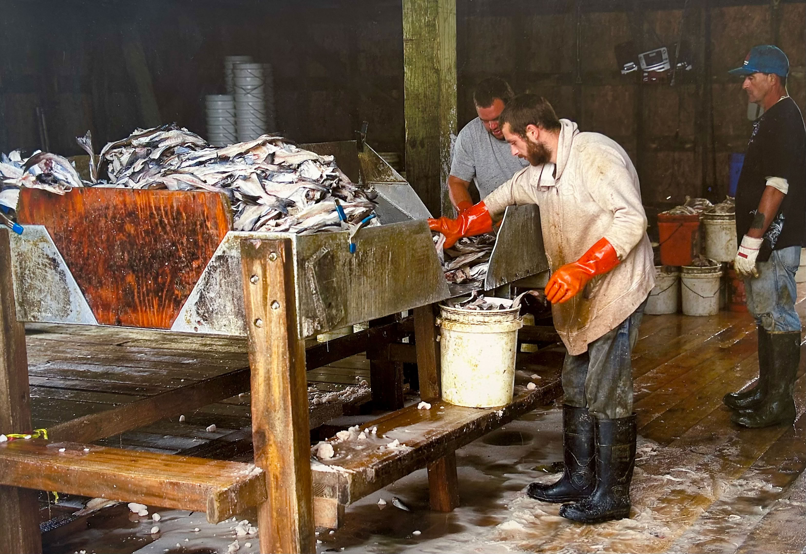 Len Emery The Bait Packers