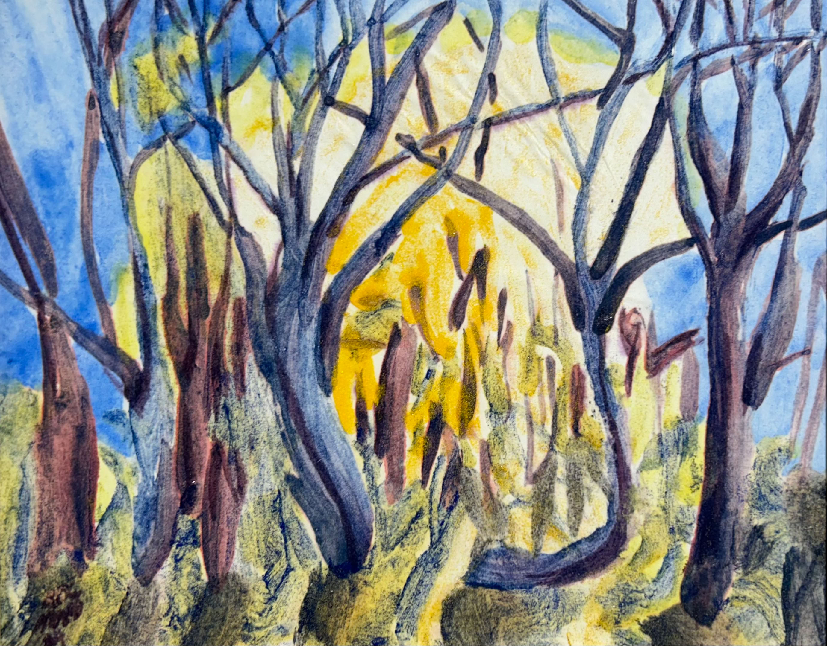 MC Noyes Vermont Trees 34 