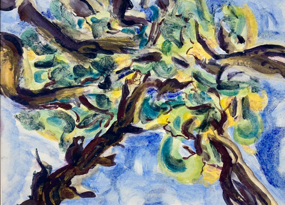 MC Noyes Vermont Trees 54