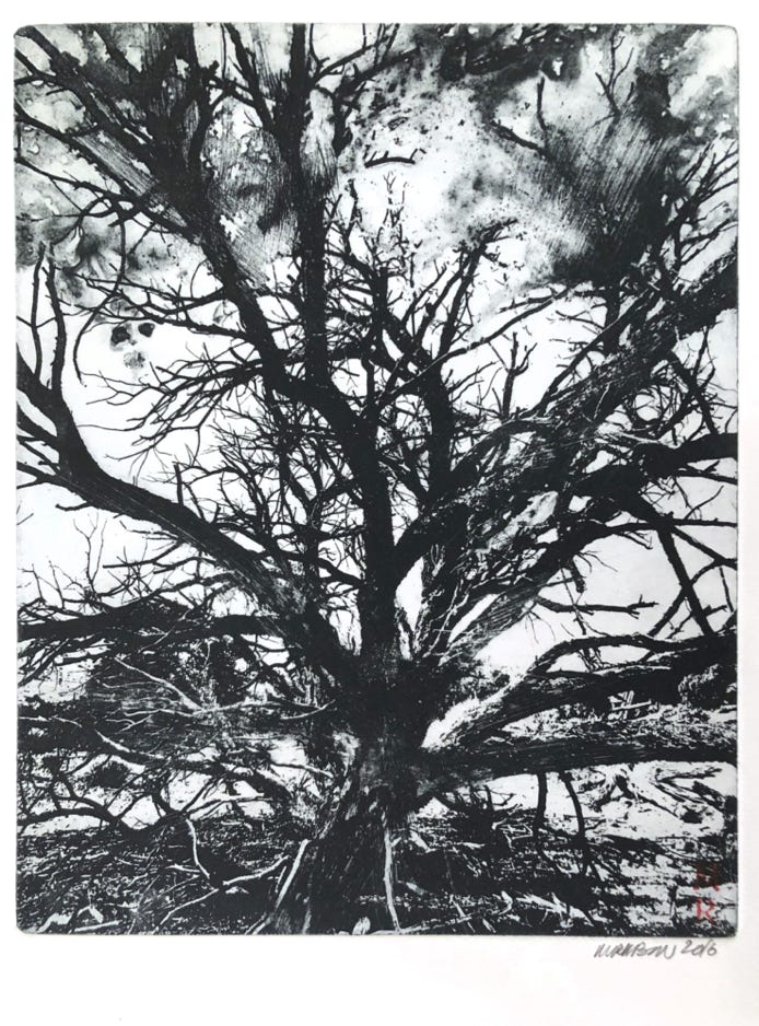 Melissa Rubin Burning Bush #1