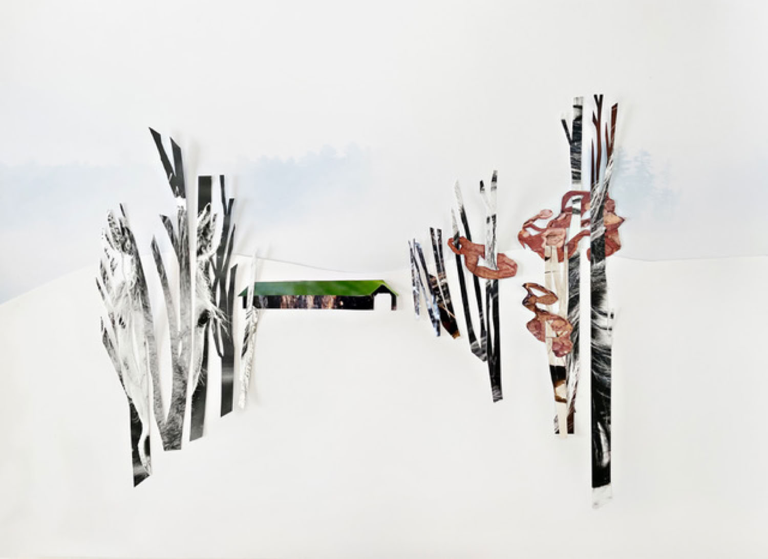 Amy Raab Through the Woods