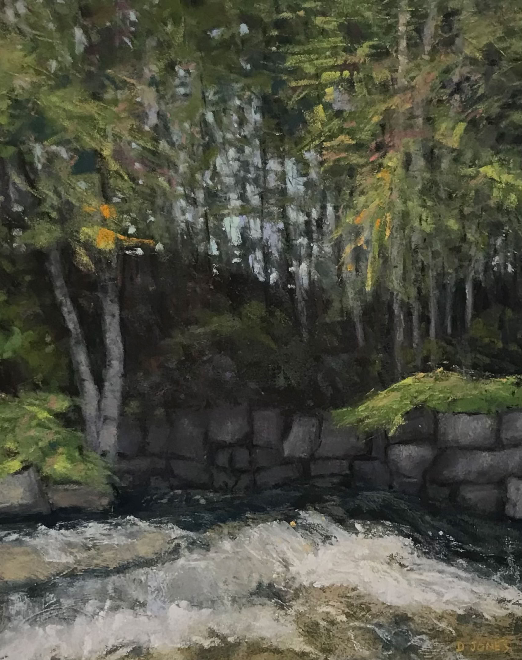 deedee-jones-rushing-water
