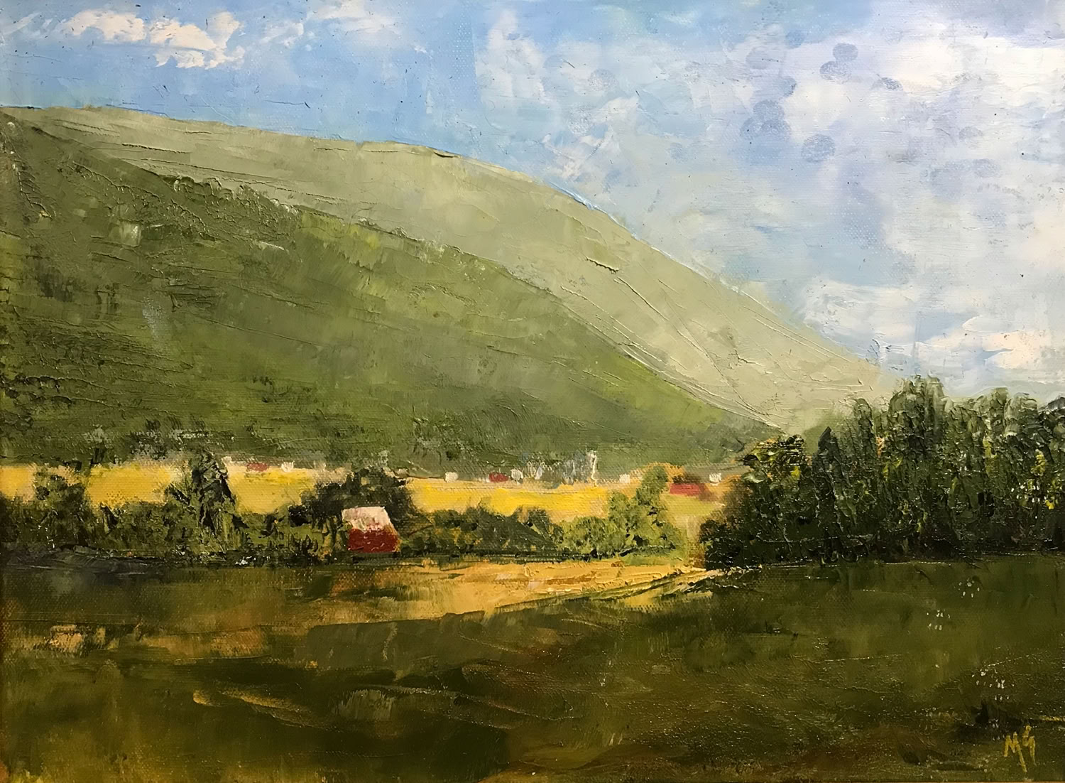 Matthew Saxton Afternoon