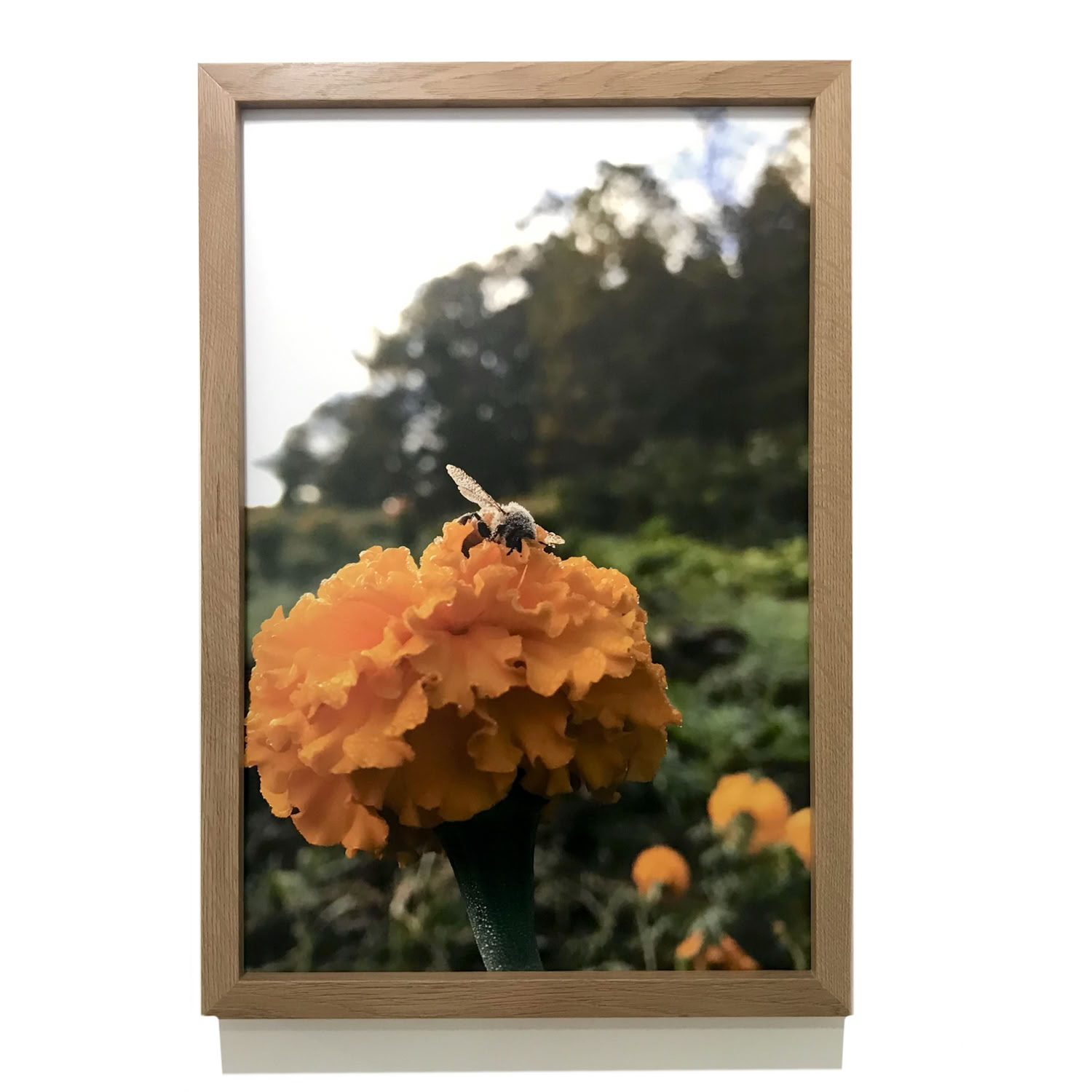 spaulding-dunbar_strong-bee-be-real