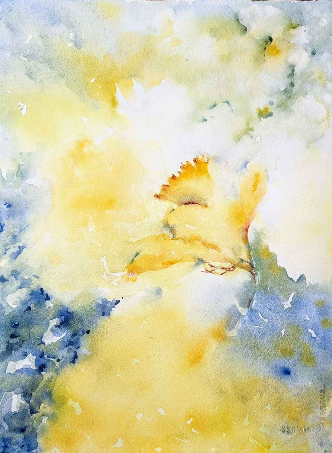 Teresa Zuverino Lone Daffodil 