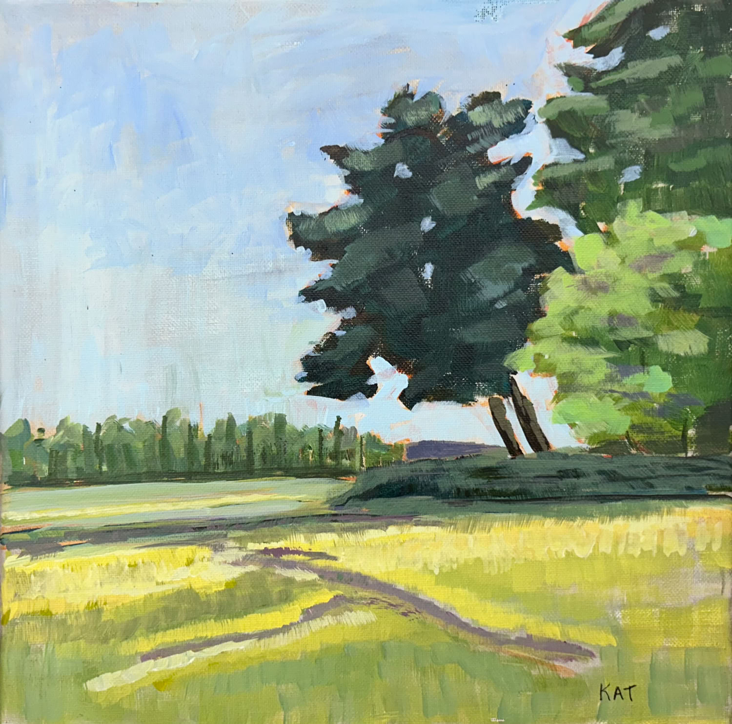 Kathleen Govotski Spring Meadow