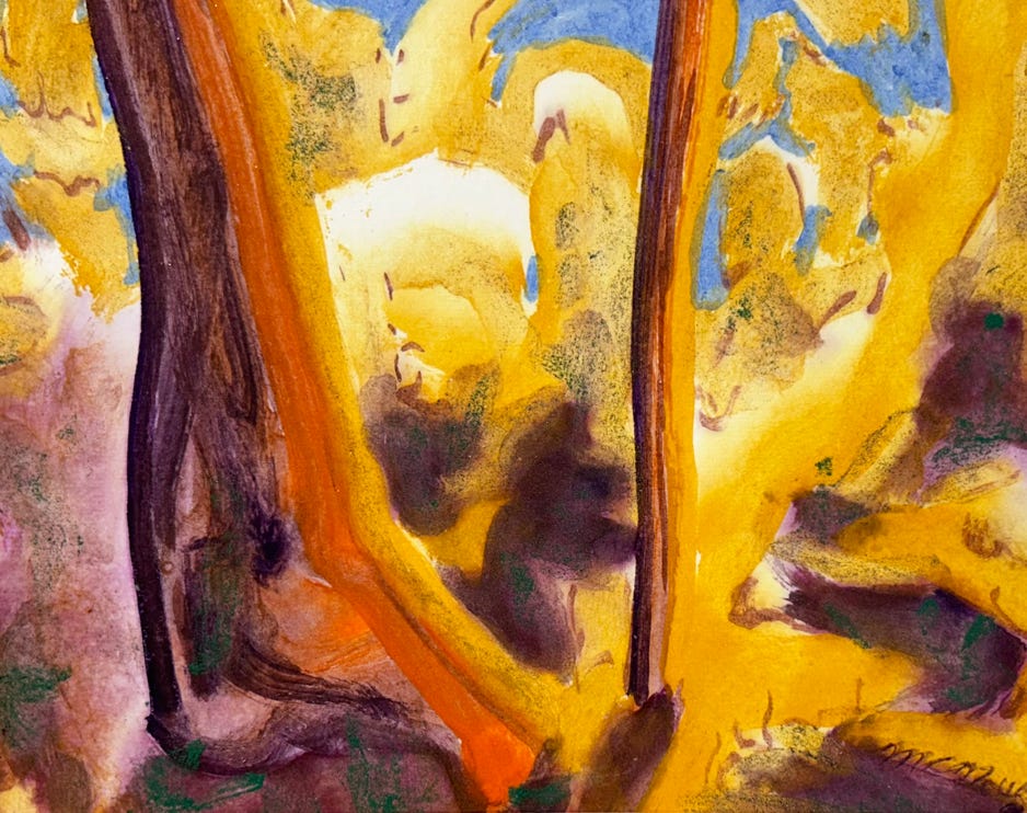 MC Noyes Vermont Trees 38