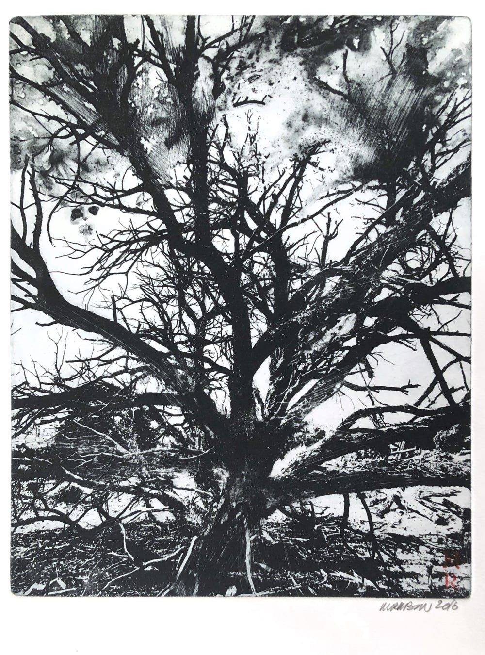 Melissa Rubin Burning Bush #1 2016