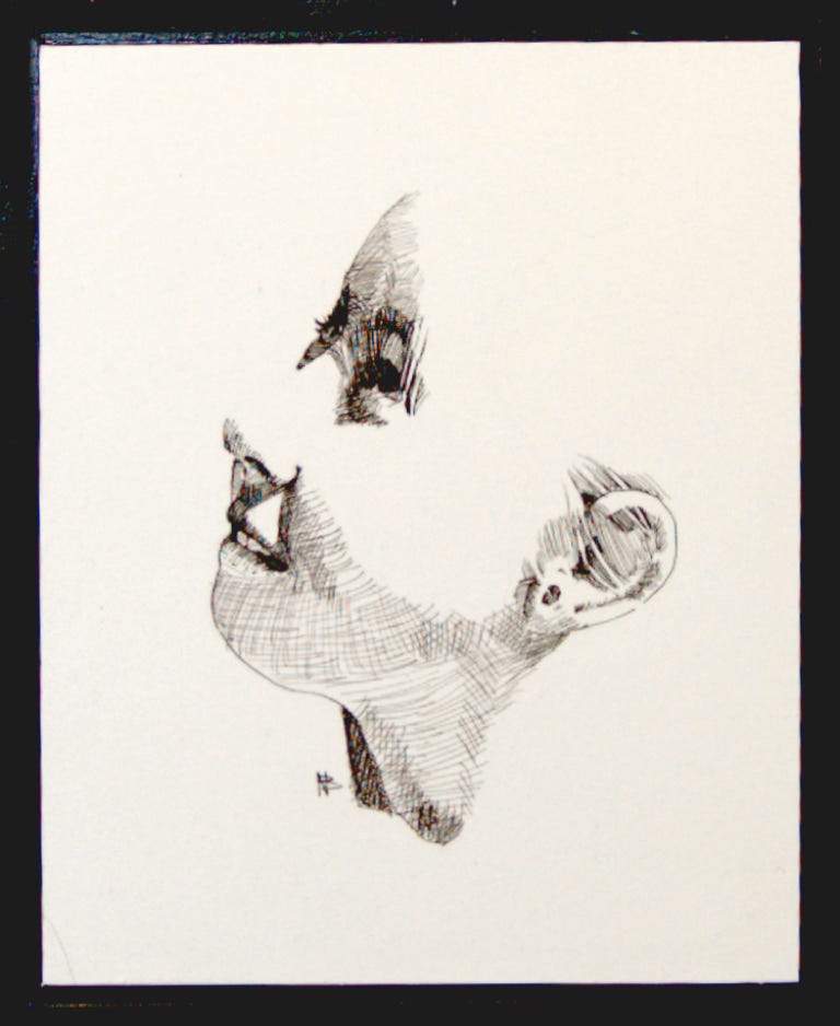 Charles Norris-Brown Looking Up