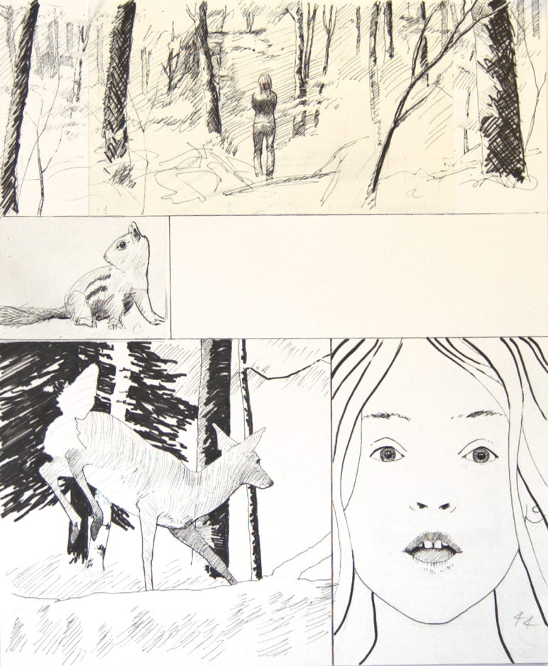 Charles Norris-Brown Thunder Basin, page 44 graphics