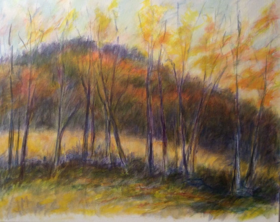 Jeanne McMahan Fall Colors on the Mountain 2020