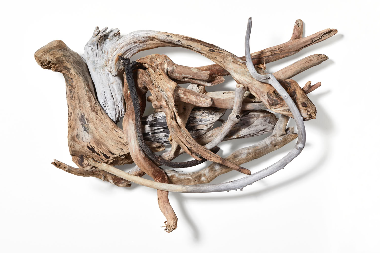 Phyllis Rosser Floating Over Waves 