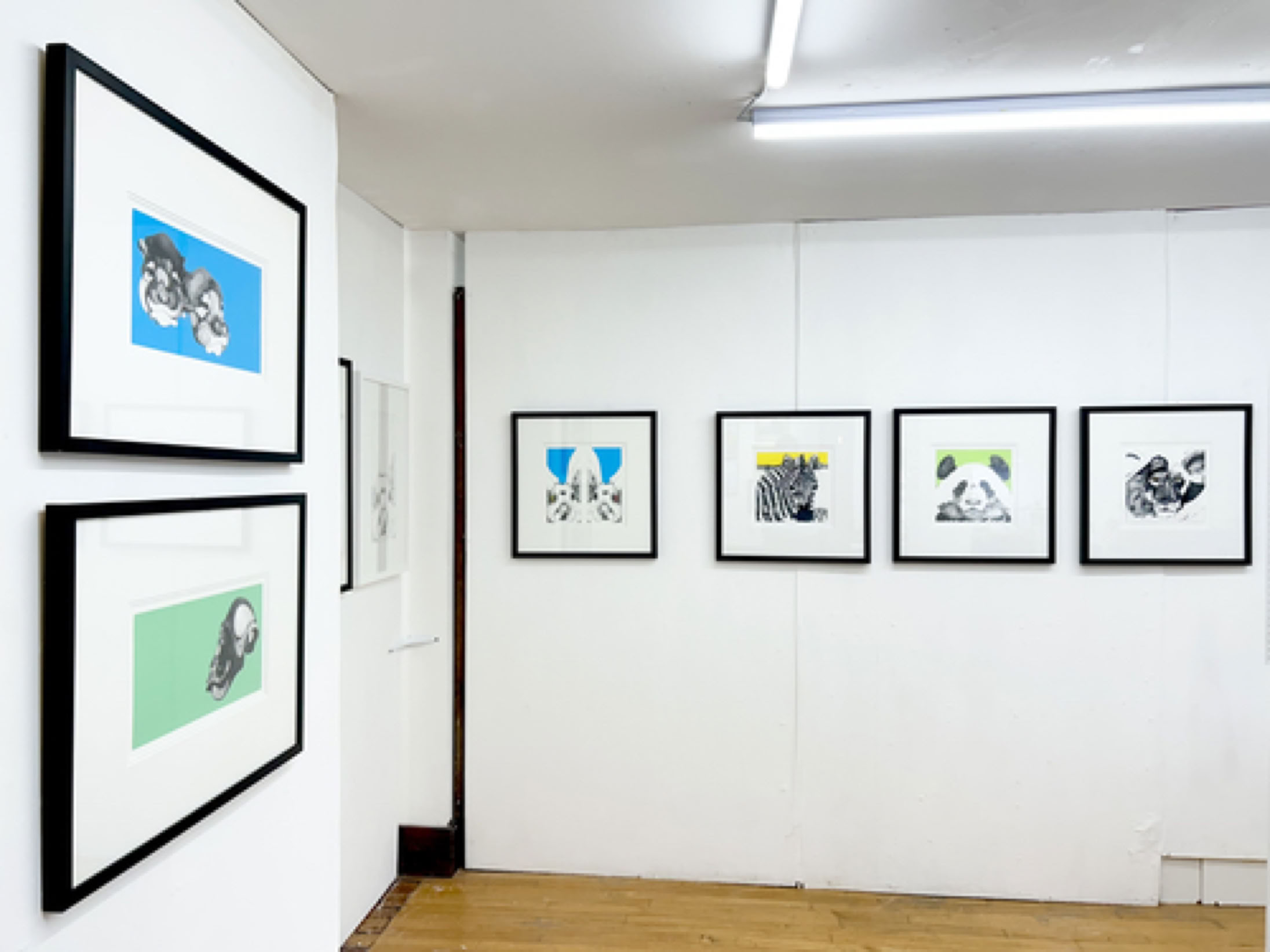 KATHLEEN ZIMMERMAN  Solo Spotlight