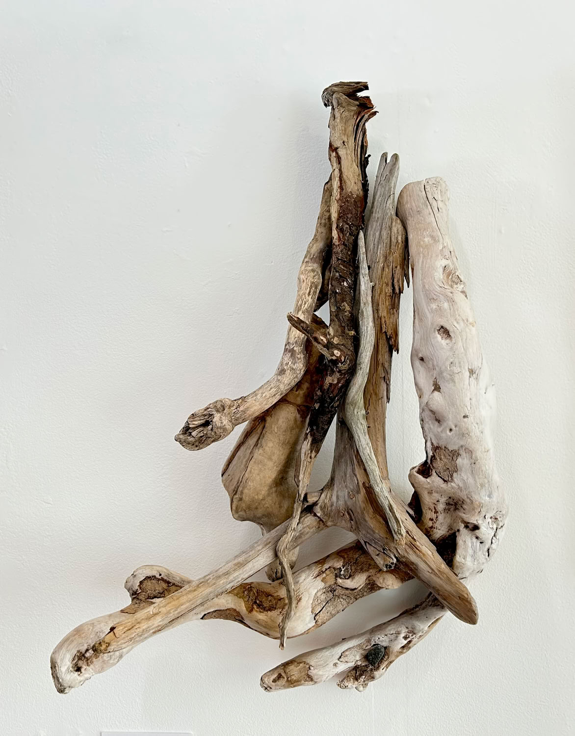 Phyllis Rosser Fully Forth Energizing