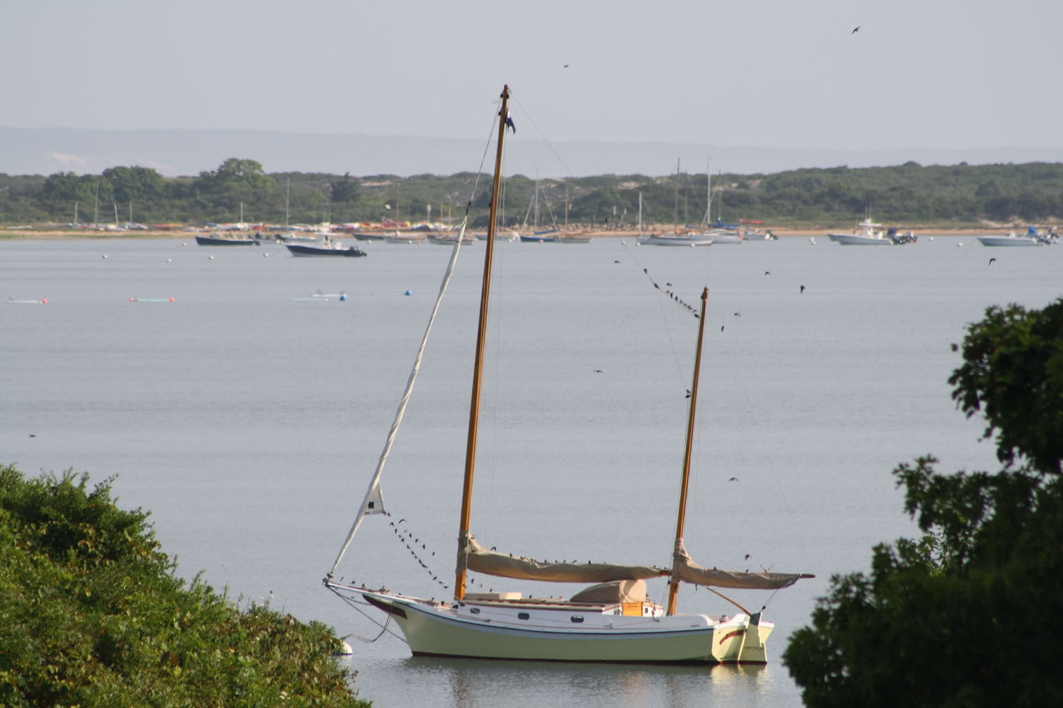 Spaulding Dunbar Menemsha Pond