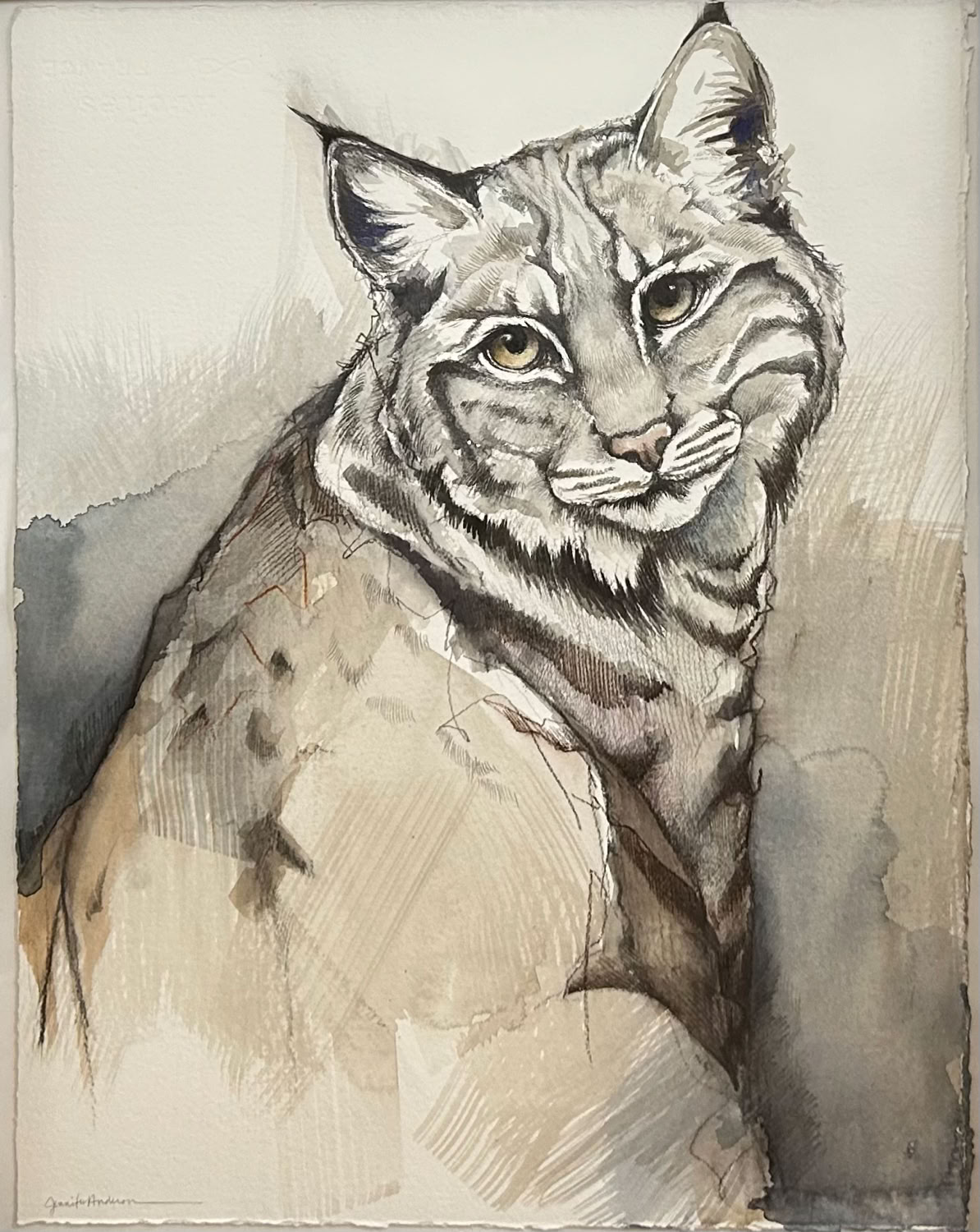 Jennifer L.Anderson The Grace of You (Bobcat)