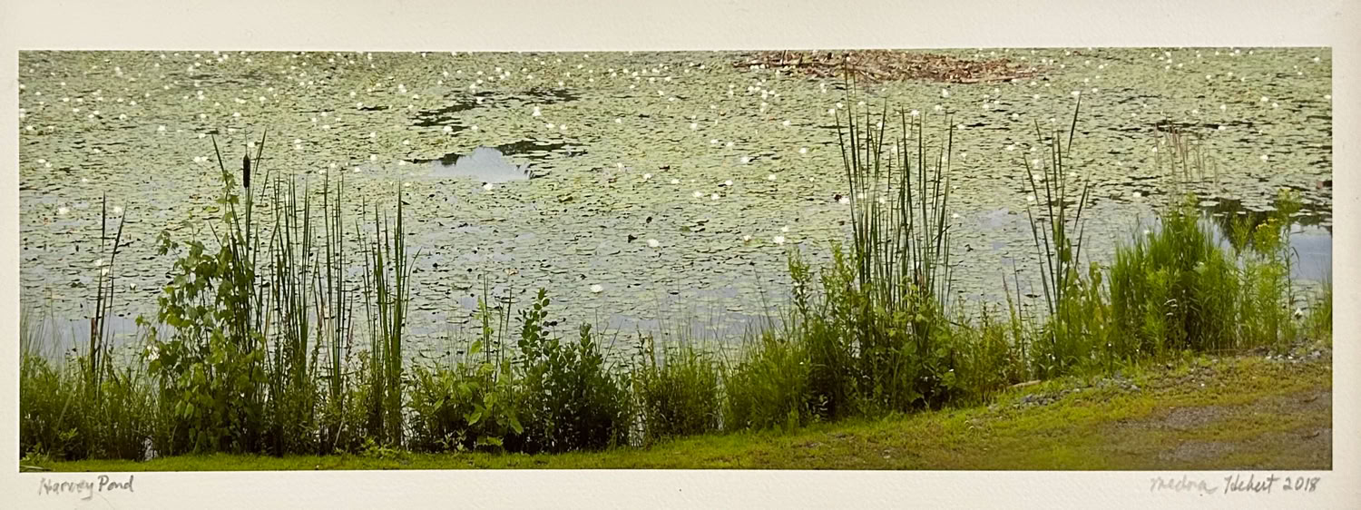 Medora Hebert Harvey Pond