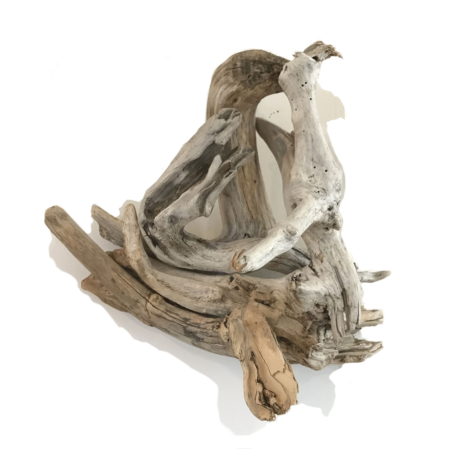 Phyllis Rosser Frolicsome Wave 2020