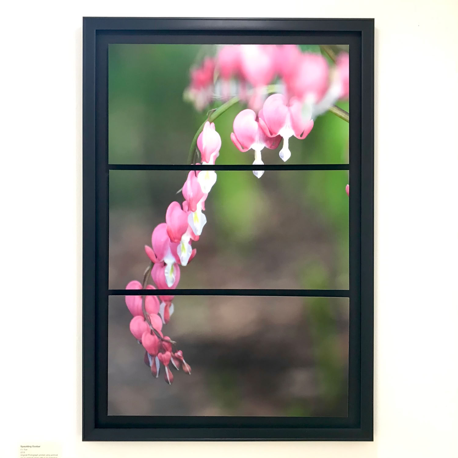 spaulding-dunbar_it-s-true-tryptich