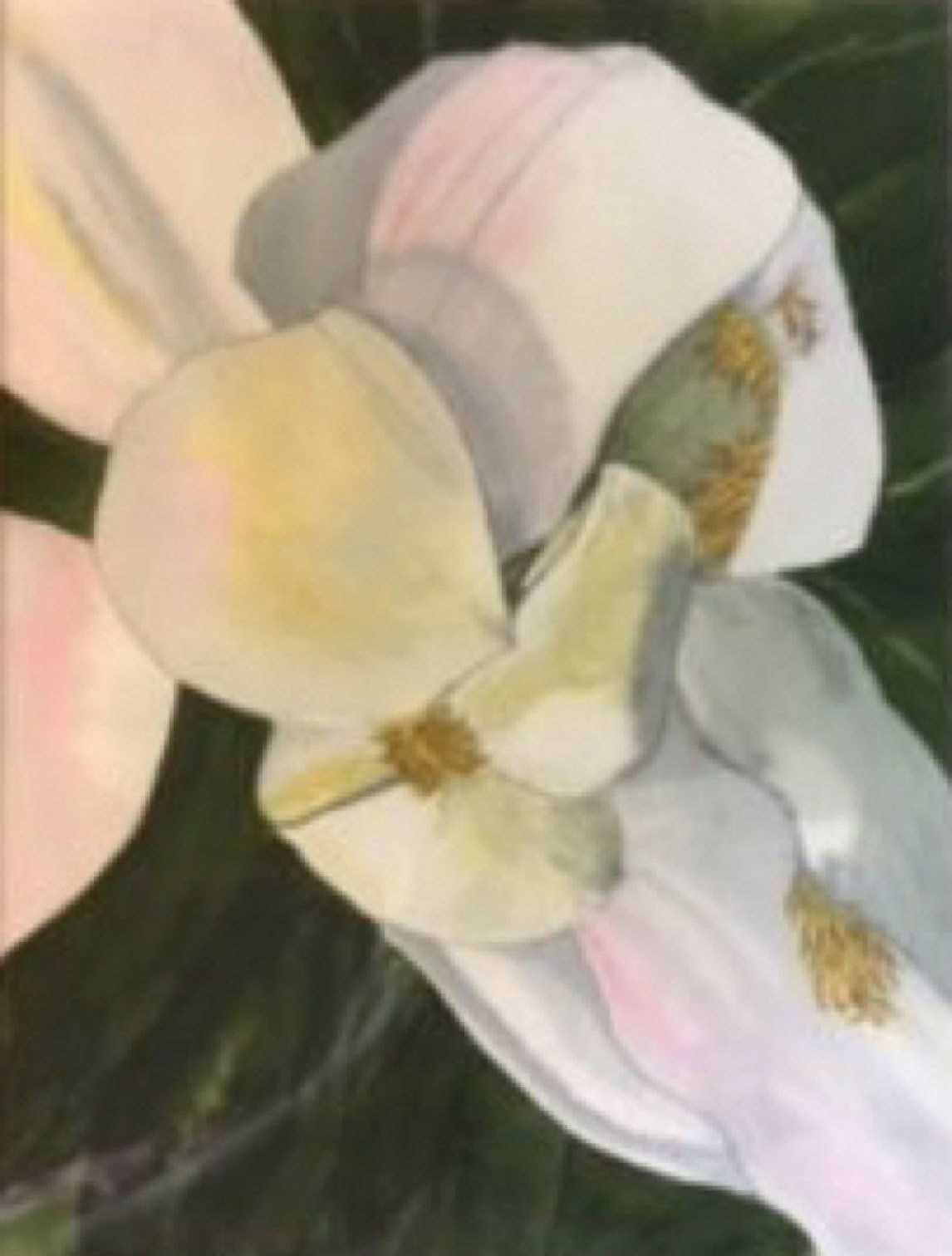 susan-mcnulty_-sturdy-delicacy_2020