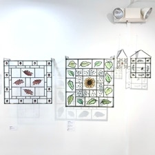 CLARE ADAMS Painting With Light