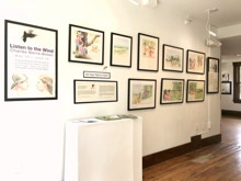 LISTEN TO THE WIND Charles Norris Brown