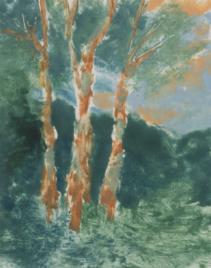 Marcie Maynard Birches