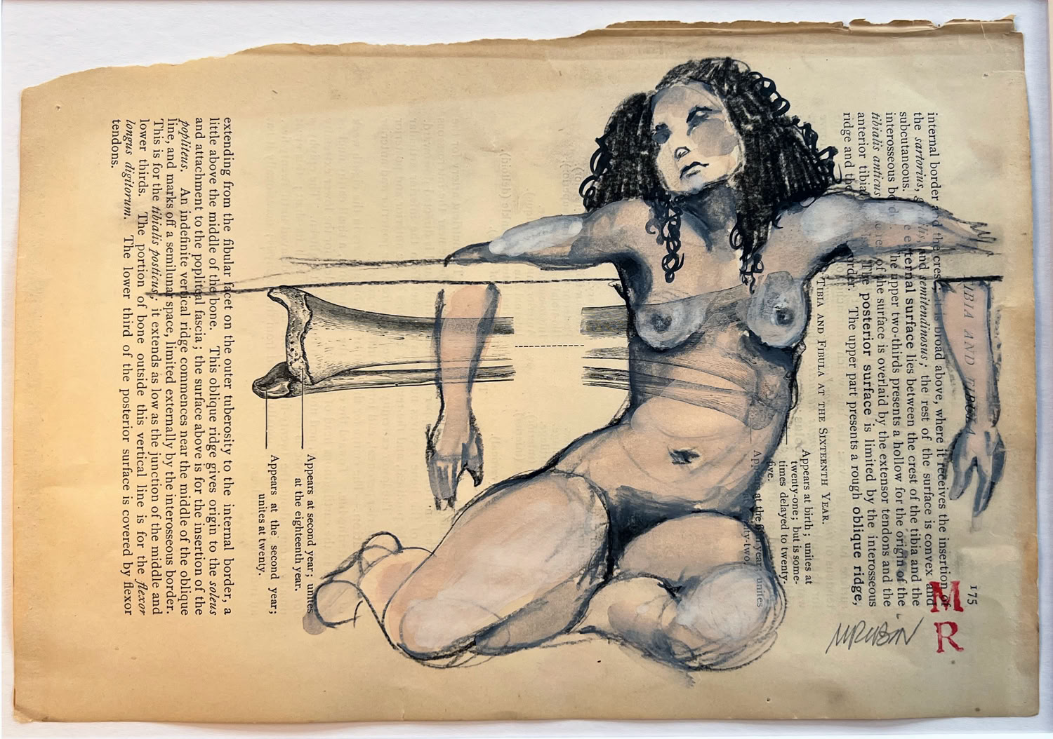 melissa-rubin-oblique-ridge