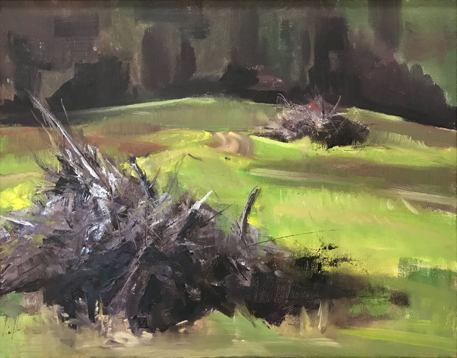 Nancy Fitz-Rapalje Burn Piles 2004