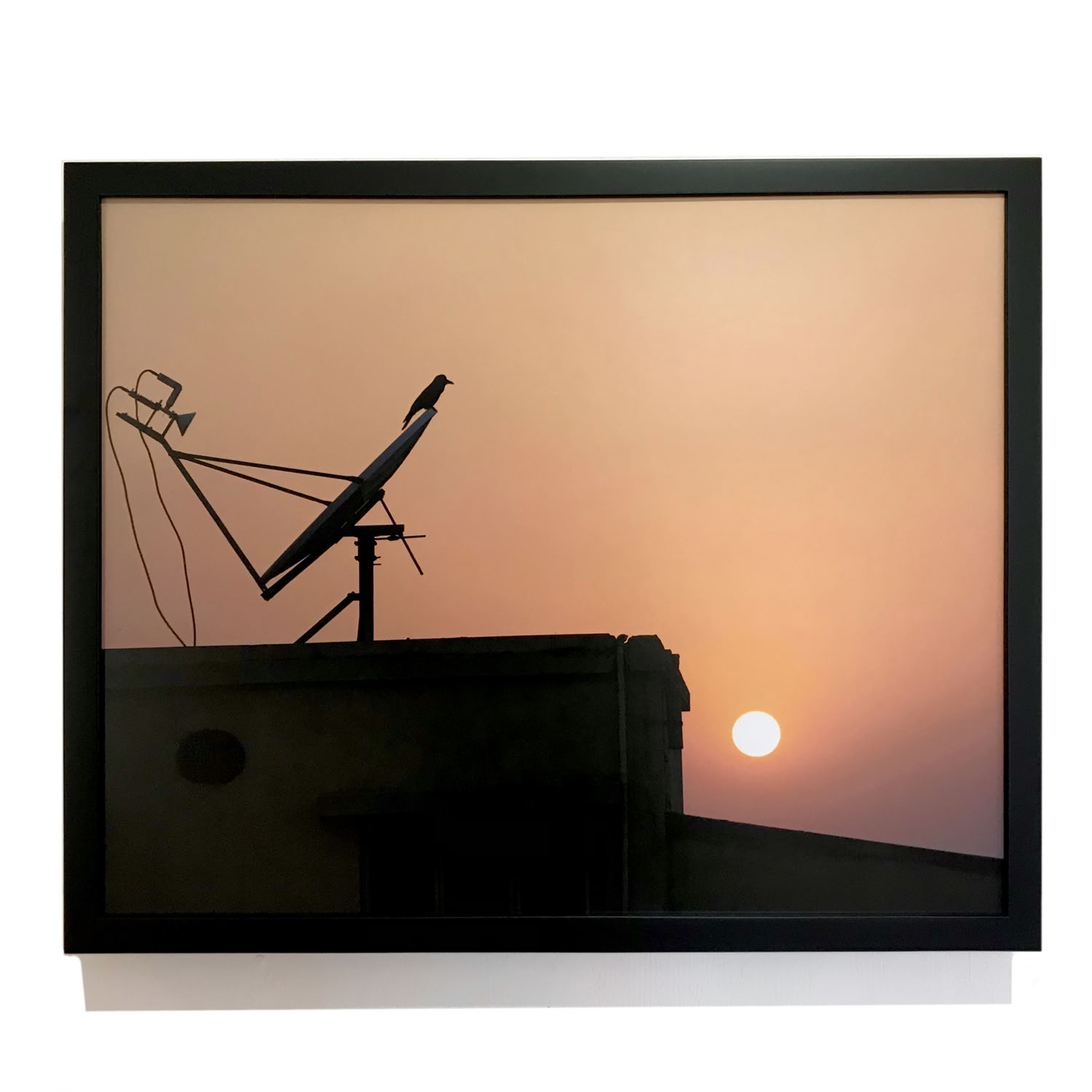 spaulding-dunbar_satellite-view