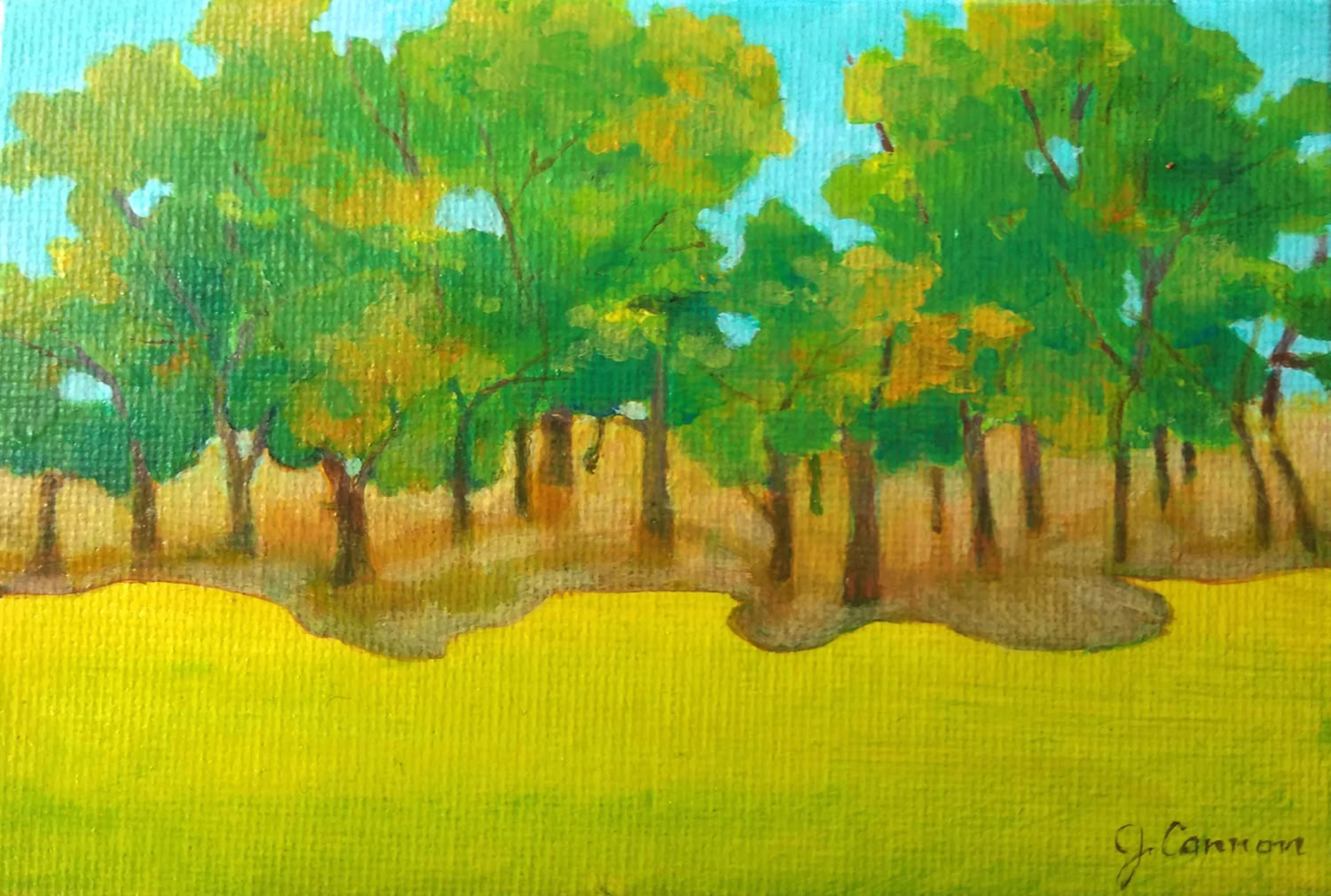 Jean Cannon Spring copse