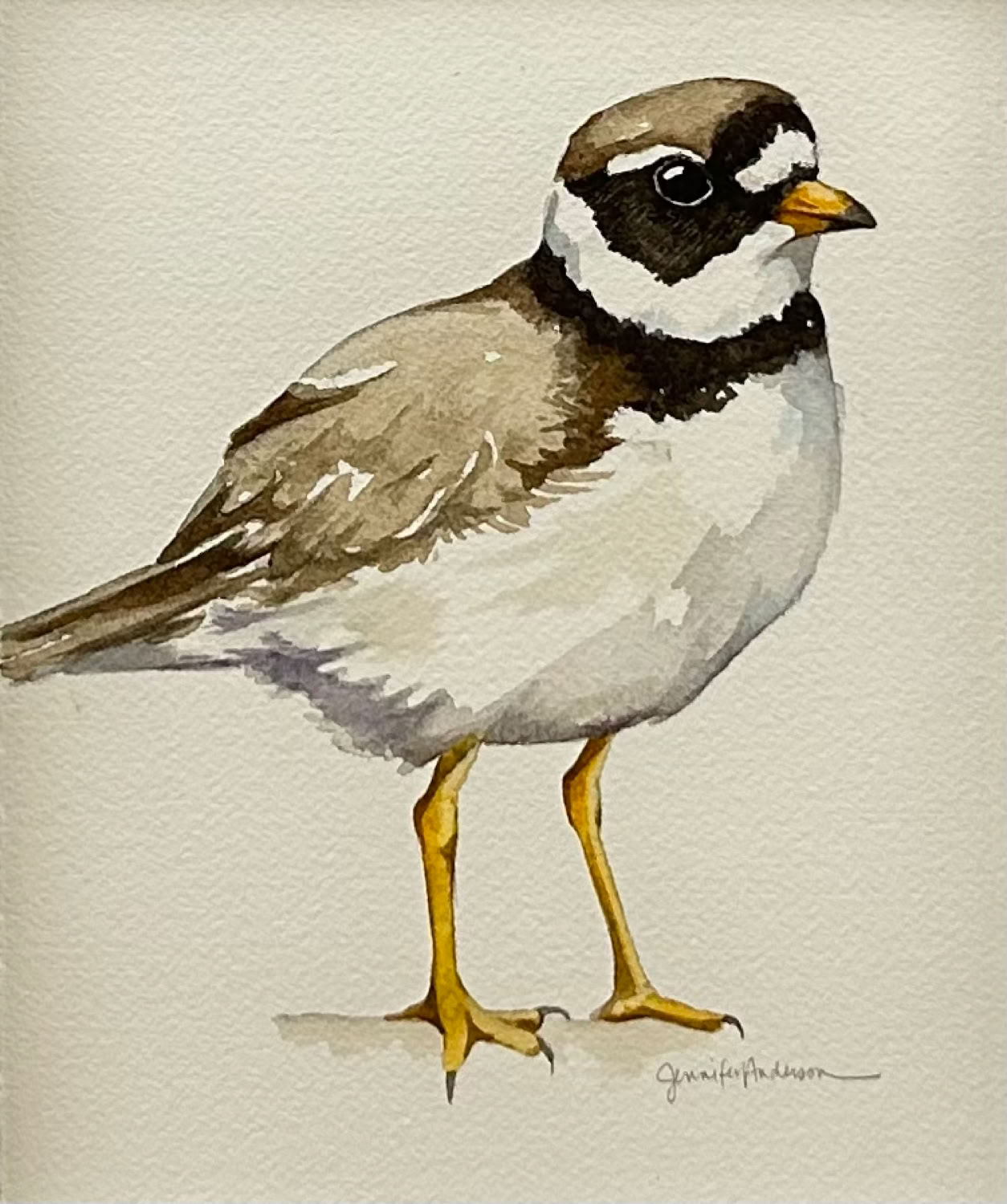 Jennifer L.Anderson A Quiet Morning (American Kestrel) 