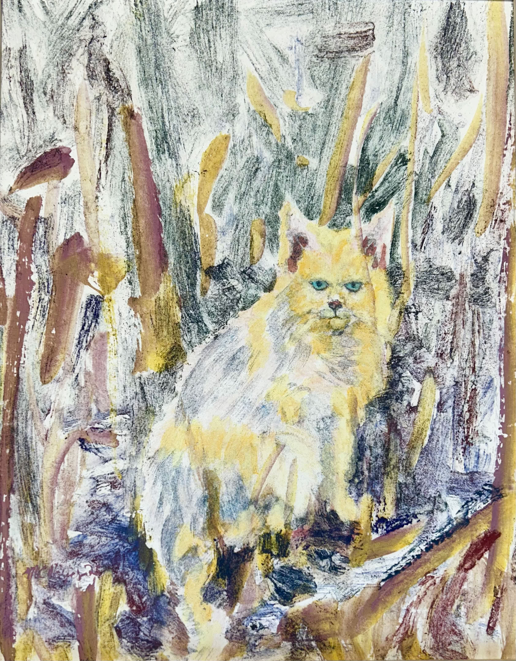 MC Noyes Cats, Cats & Cats 12