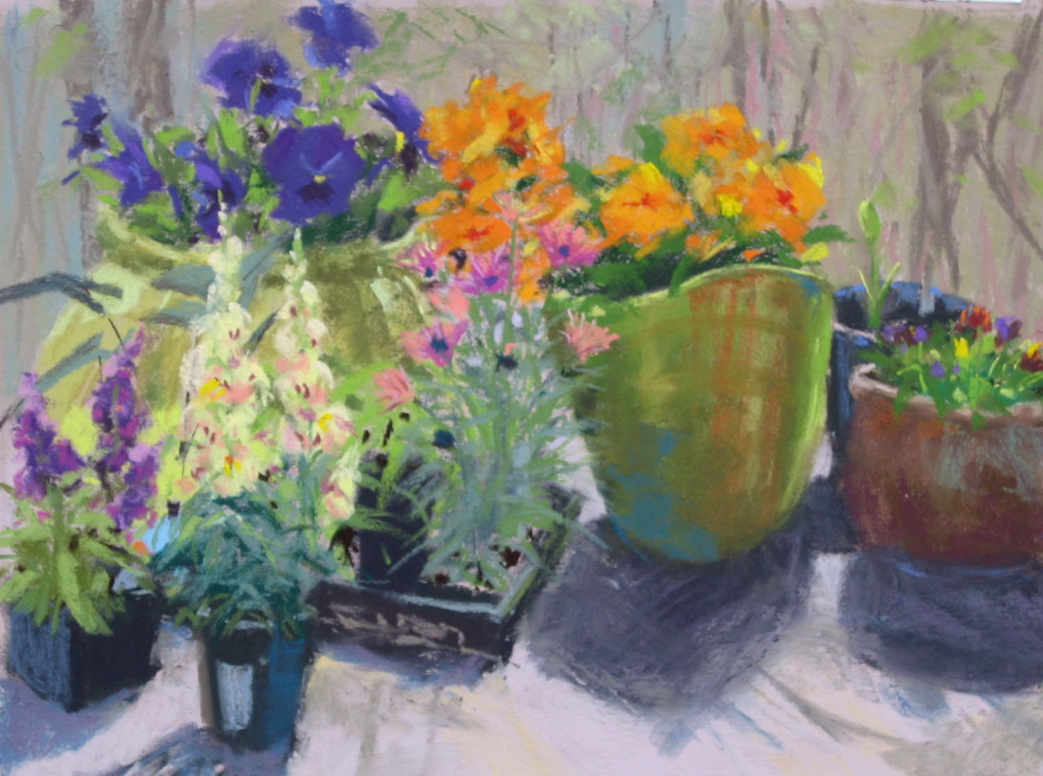 Rodrica Tilley Garden to Be 2011