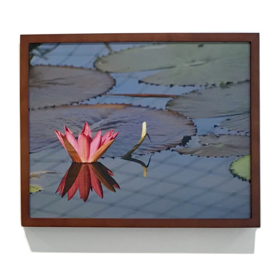 spaulding-dunbar_pink-lilly