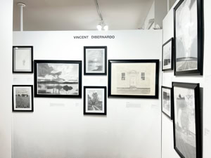 Vincent DiBernardo Solo Show
