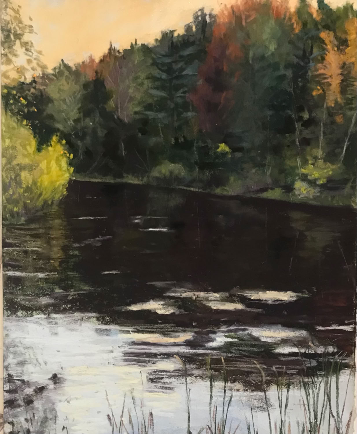 Deedee Jones Dark Water