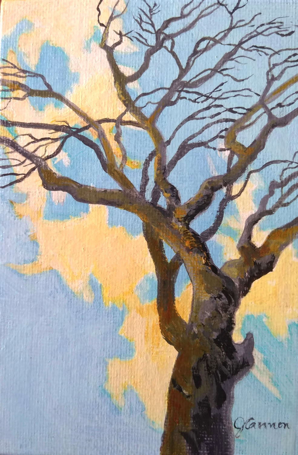 Jean Cannon Clouds, tree