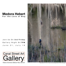 Medora Hebert For the Love of Bog